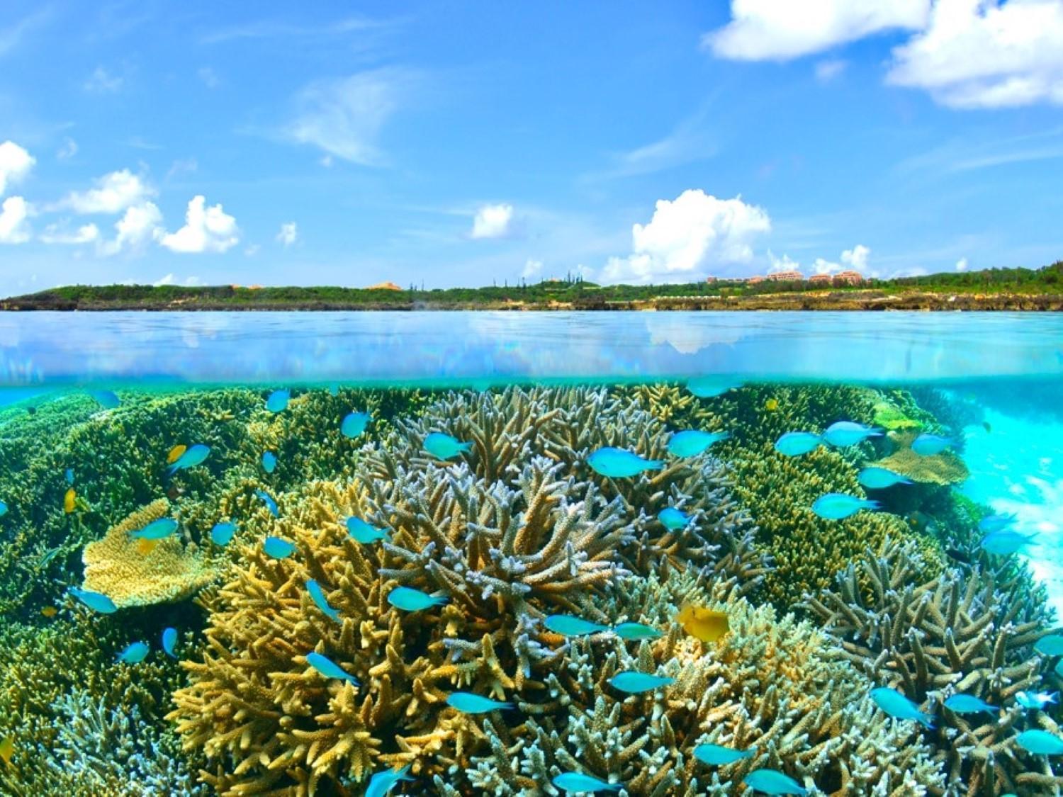 Hotel Shigira Mirage Miyakojima  Екстериор снимка
